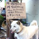복