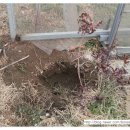 심가네 농장 이미지