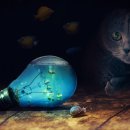 저녁)포토샵 이미지