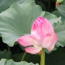 보통리 저수지 1 이미지