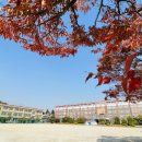 신탄중앙중학교 이미지