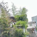 오베뉴 한남 | 한남동 테라스 분위기 좋은 카페 오베뉴 한남 내돈내산 방문후기