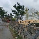 소희네 하우스 이미지