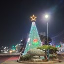 영암군 공설운동장 이미지