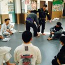 용호도장 이미지