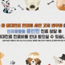 송정동물의료센터 이미지