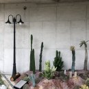 광성하우스 이미지