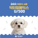 포레온 동물병원 이미지