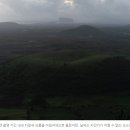 비자림빌리지2 이미지