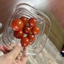 브이엘에프