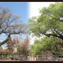 신현동-7 이미지