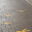 골목야식 | 대구 신암동 평화시장 닭똥집골목 고인돌, 야식으로 뚝배기찜닭과의 조합 솔직후기