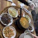 포레 | 벨포레 리조트 애견동반 51평 펫포레 후기