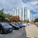 시니어라틴&라인댄스 이미지