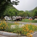 히어리캠핑장펜션 이미지