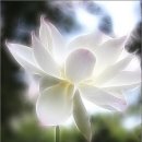 정운보석