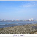 배곧한울공원 이미지