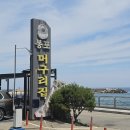 장비건어물 | 속초3대물회맛집비교 봉포머구리집 vs 청초수 vs 항아리 다 먹어본 후기