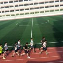 포이닉스
