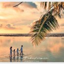 대구총판 | 13 사용 후기가 말해주는 대구 총판의 차별화 포인트