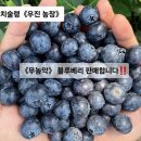 우진농장 이미지