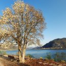 진사민박 이미지