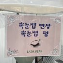 lash-peak(래쉬 픽) | 잠실 속눈썹, 래쉬픽 속눈썹펌 솔직 후기