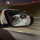 쑤기김밥 | 🍀2025년 12월 일기