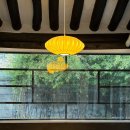 시골손칼국수 이미지