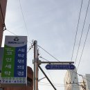 크린토피아코인워시수영망미중앙