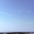제주 뚜벅이 여행/김포에서 제주,함덕 깡촌흑돼지,김녕 세기알해변,청파식당횟집