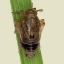 상주시농업기술센터 이미지