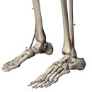 닥터필라테스 - 김포시 김포한강4로 530 | 닥터필라테스