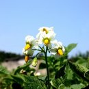 덕례농장 이미지