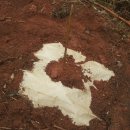 명원농장 이미지