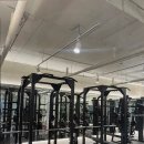 운동에 빠지다 이미지