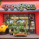 땅땅랜드