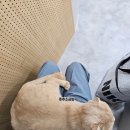 24시 봉담동물의료센터 이미지