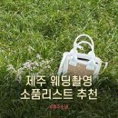 아워오르빗 | W25-1ෆ. 제주스냅(준비) : 웨딩소품 추천 리스트