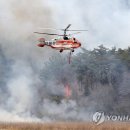 함평축구장 이미지