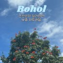 보홀 여행 인천공항 2터미널 하나은행 달러환전 수령 이트래블 등록 방법