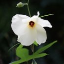 세종1차아파트 이미지