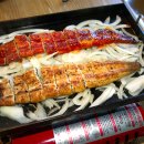 힘찬장어 이미지