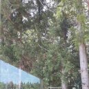 하늘 그리고 바다 민박 이미지