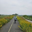 강변밧데리 | 호호형제와 아빠의 영천 임고강변공원 1박2일 자전거여행 후기