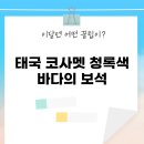 낭그늘 펜션 | 태국 코사멧: 청록색 바다의 보석