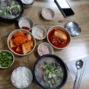 아우내길 Daum카페