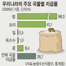 세계 4대 곡물메이져 회사 이미지