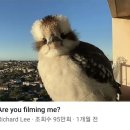 Are you filming me? 이미지