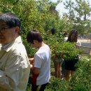 약대초등학교 이미지